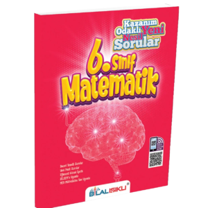 6. Sınıf Matematik Beyin Fırtınası Uygulaması Soru Bankası